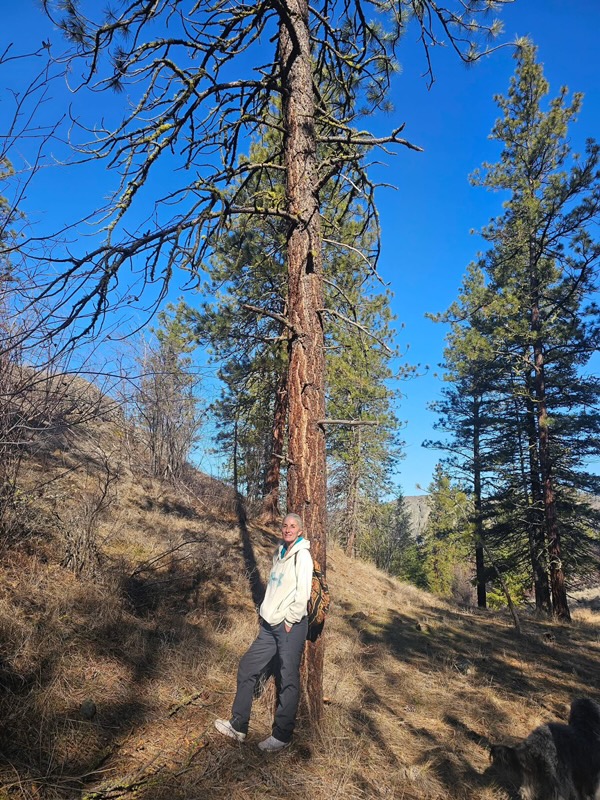 A person embracing the trunk of a tall tree