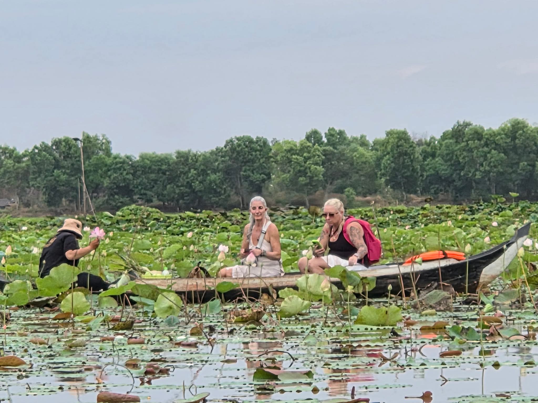 A narrow boat carrying people and flowers across water filled with lily pads