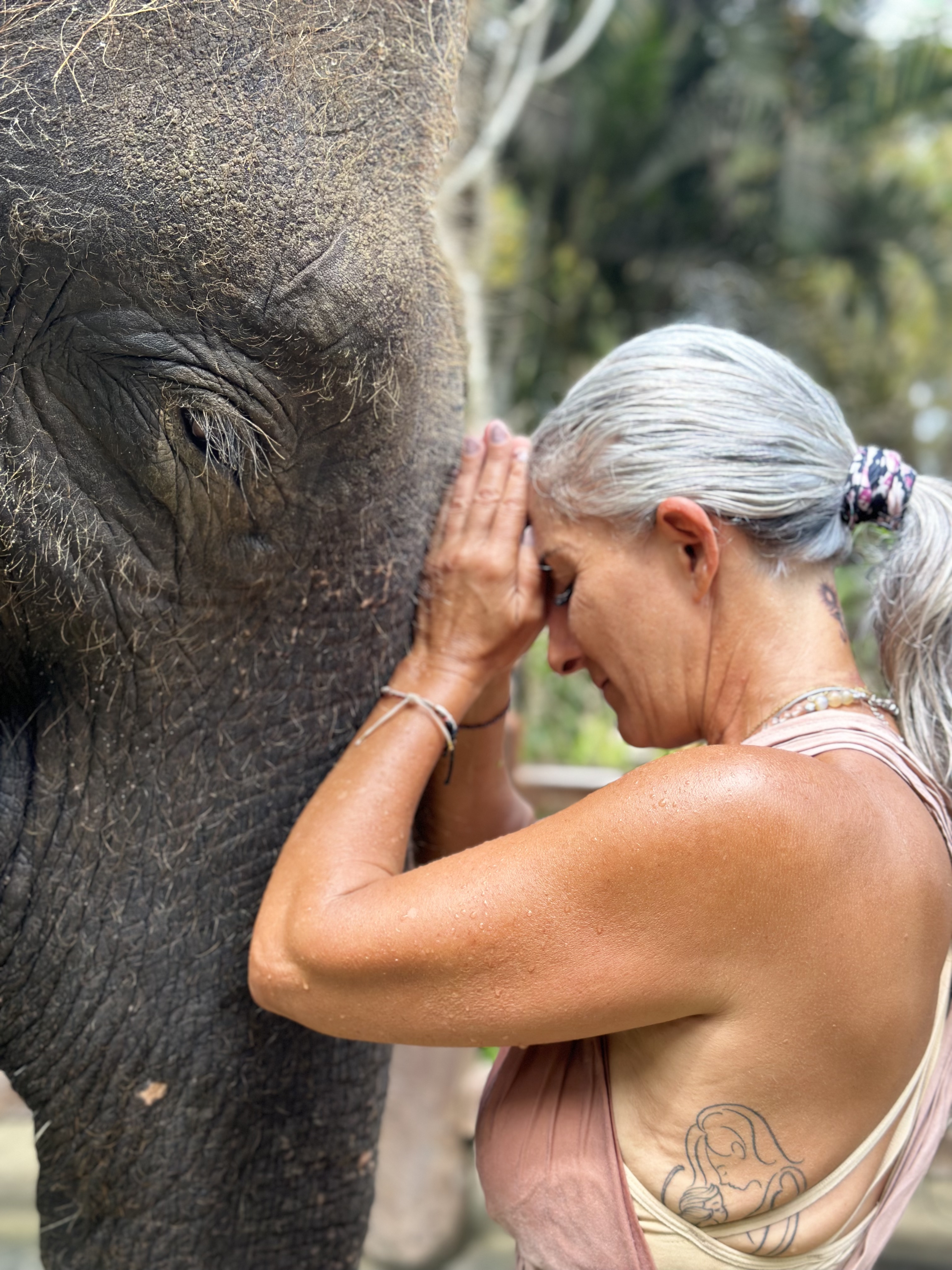 A close view of Armanda resting her forehead and hands against an elephant