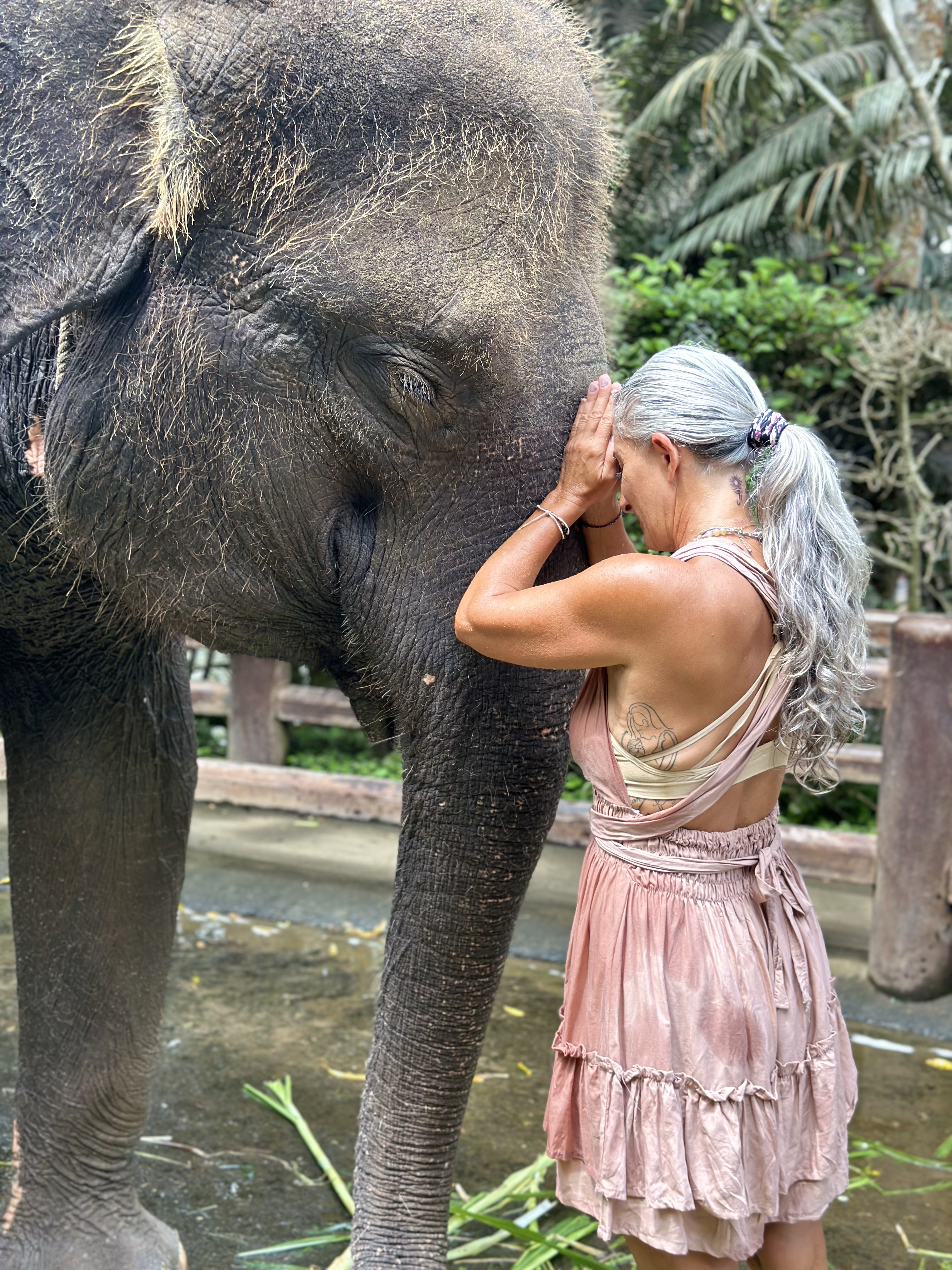 Armanda standing beside an elephant with her palms and forehead resting against its face