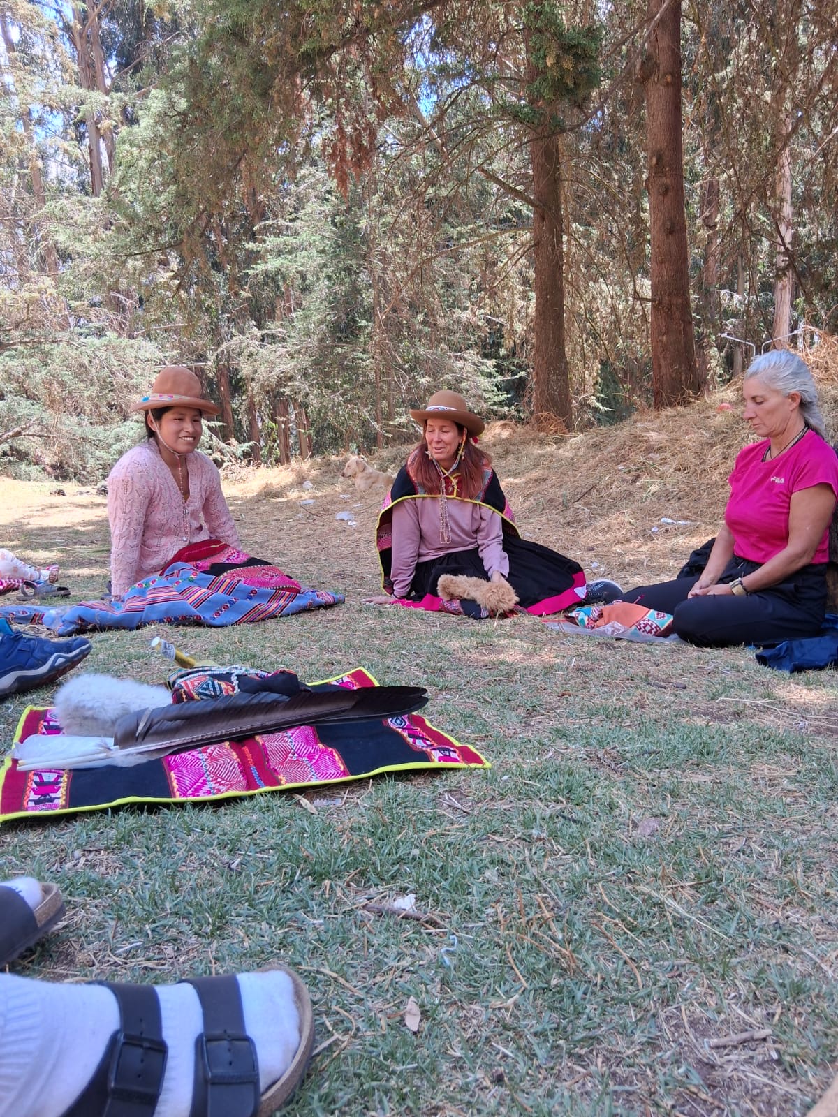 People sitting together on colourful blankets among tall trees