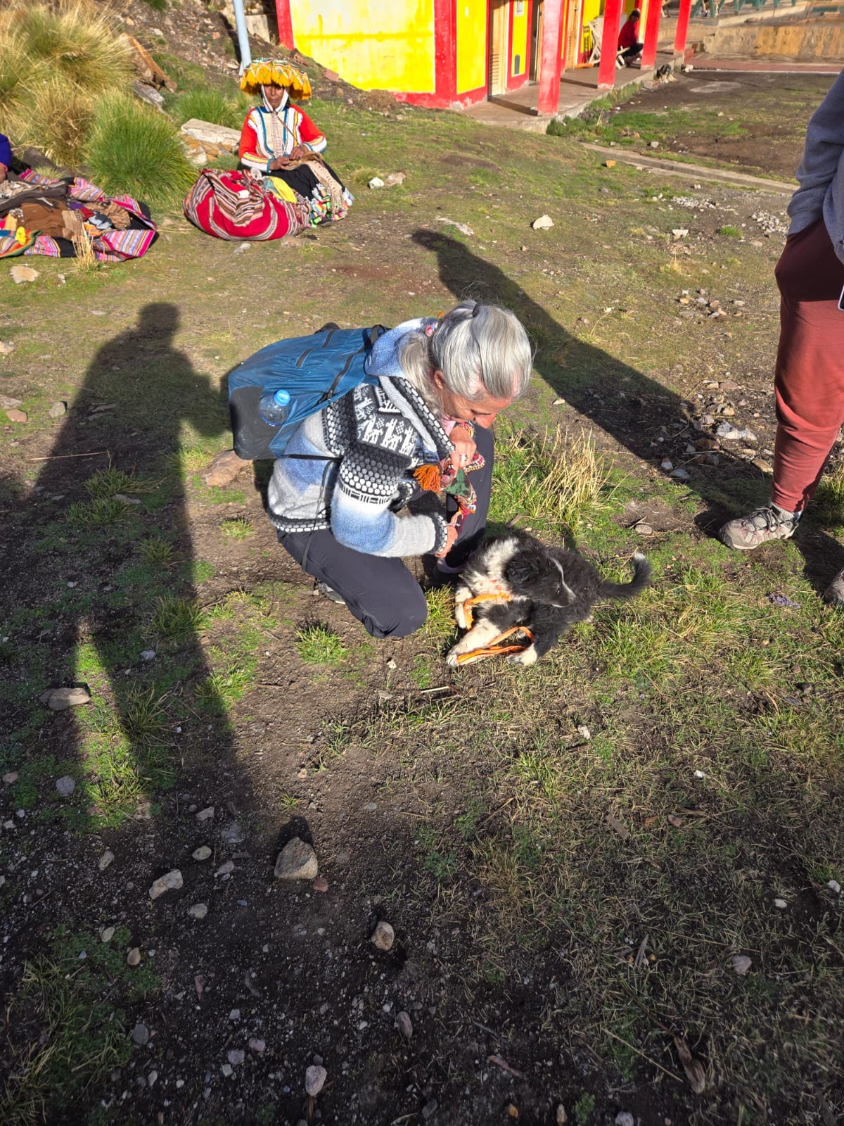 Armanda crouching to greet a dog outside a brightly painted building